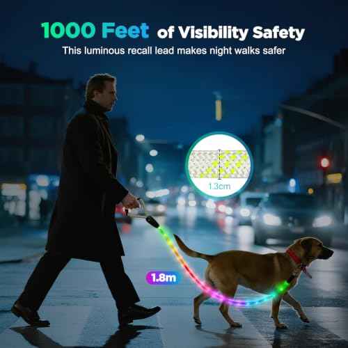 Light Up Dog Leash (6 Ft / RGB)