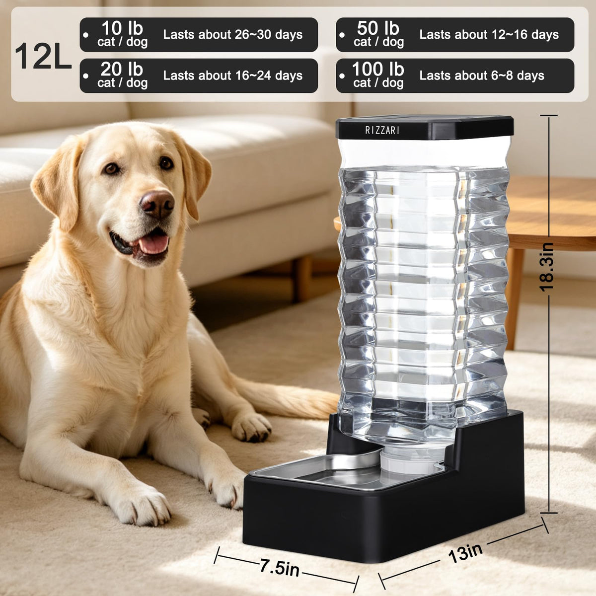 Stainless Steel Pet Water Feeder (Black / 12L)