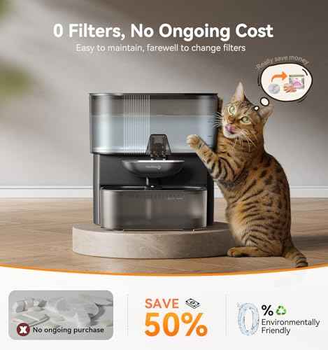 Cat Water Fountain
