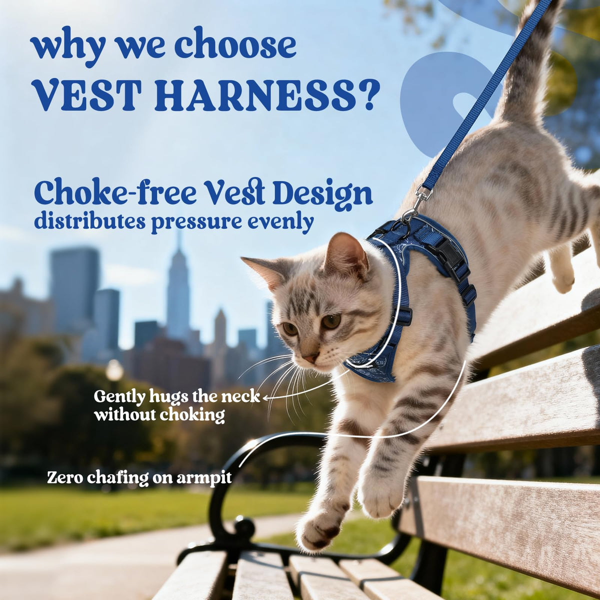 Cat Harness and Leash Set (Xxs / Cosmic Ace)