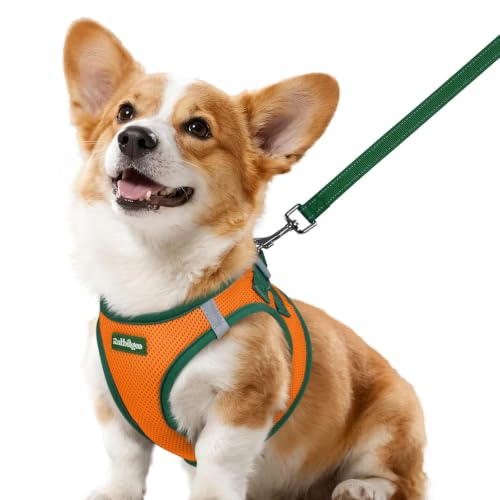Dog Harness Small Sized and Leash Set (Orange & Dark Green / L (Chest: 18.2"-20.5"))