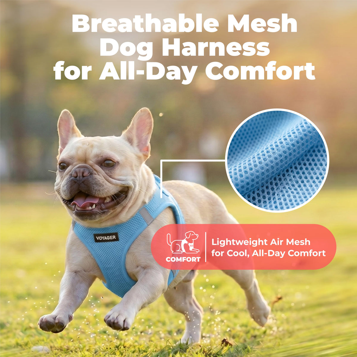 Voyager Step in Air Dog Vest Harness (Sky Blue / L (Chest: 18 - 20.5"))