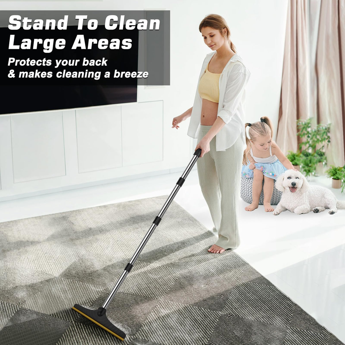 Carpet Rake for Pet Hair Removal (Black)