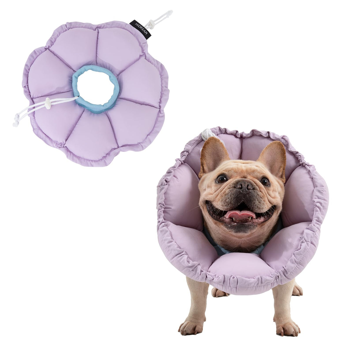 Dog Cone Collar Stress (XL-WideNeck / purple)