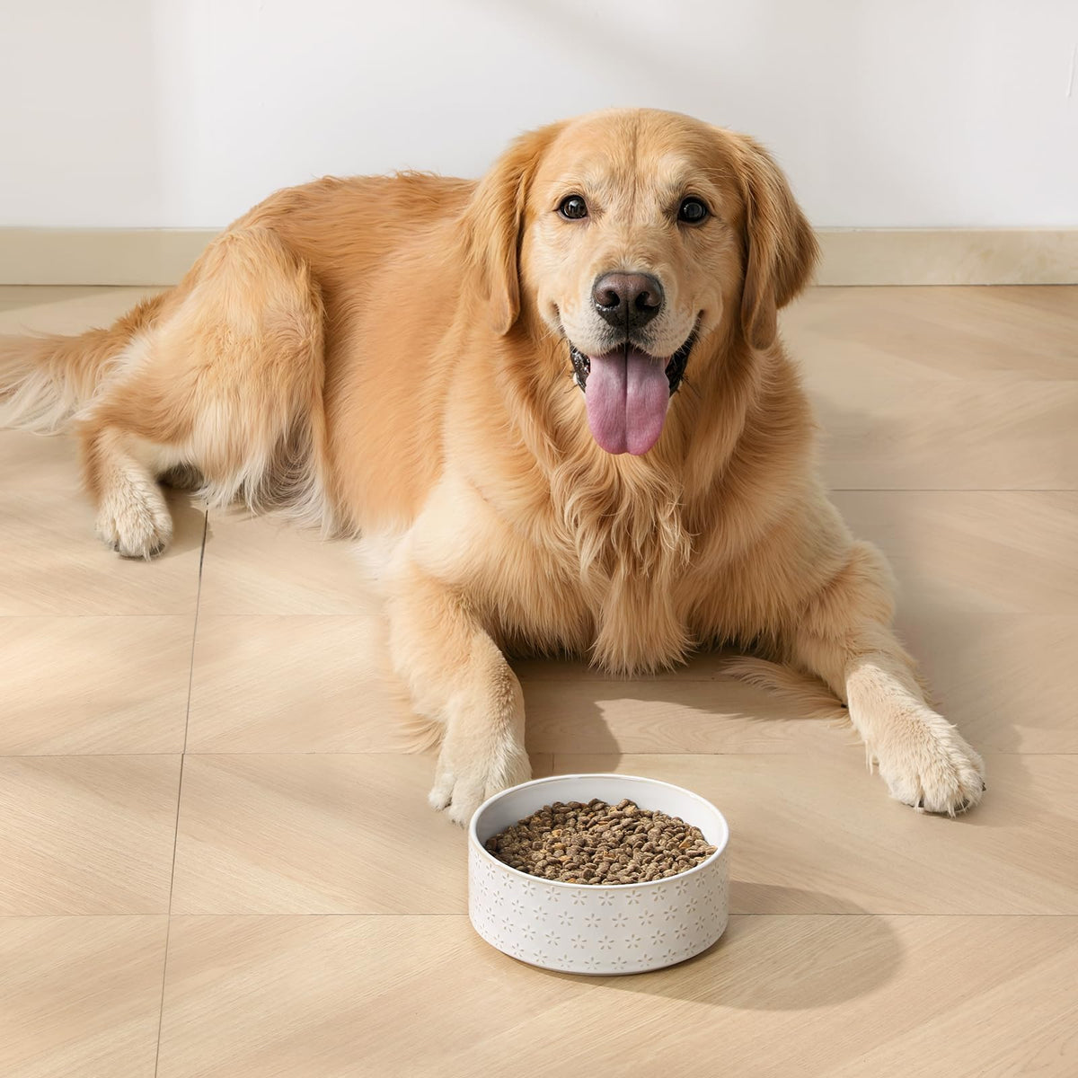 Ceramic Dog Food Bowl (Five-leaf Grass / 6 Cups)