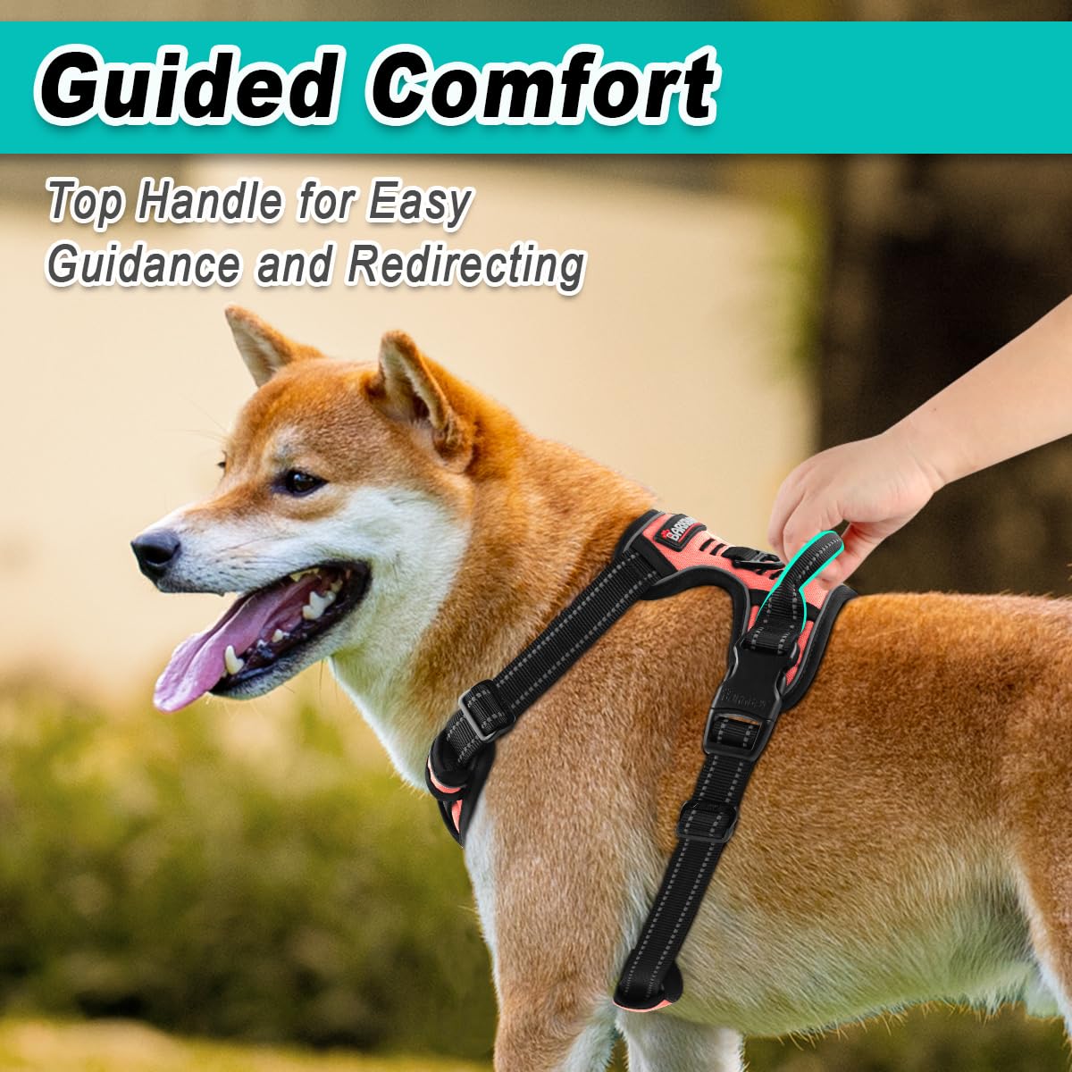Dog Harness for Small Sized Dog No Pull 2 Leash Clips Dog Vest (Light Pink / Small)