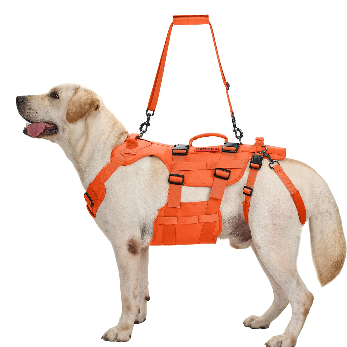 Dog Lift Harness for Large Dogs (Orange / XL)