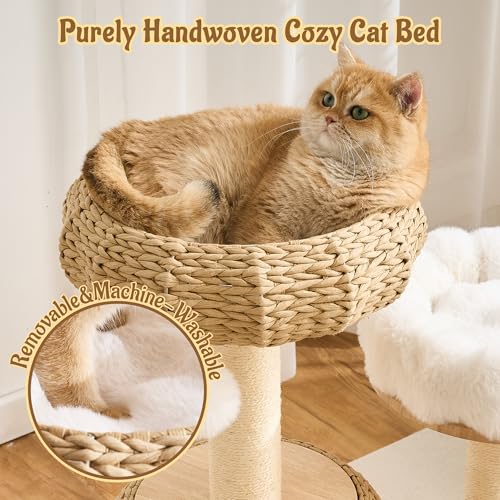 Modern Cat Tree for Indoor Small & Medium Cats (Natural w/ Bed-30")