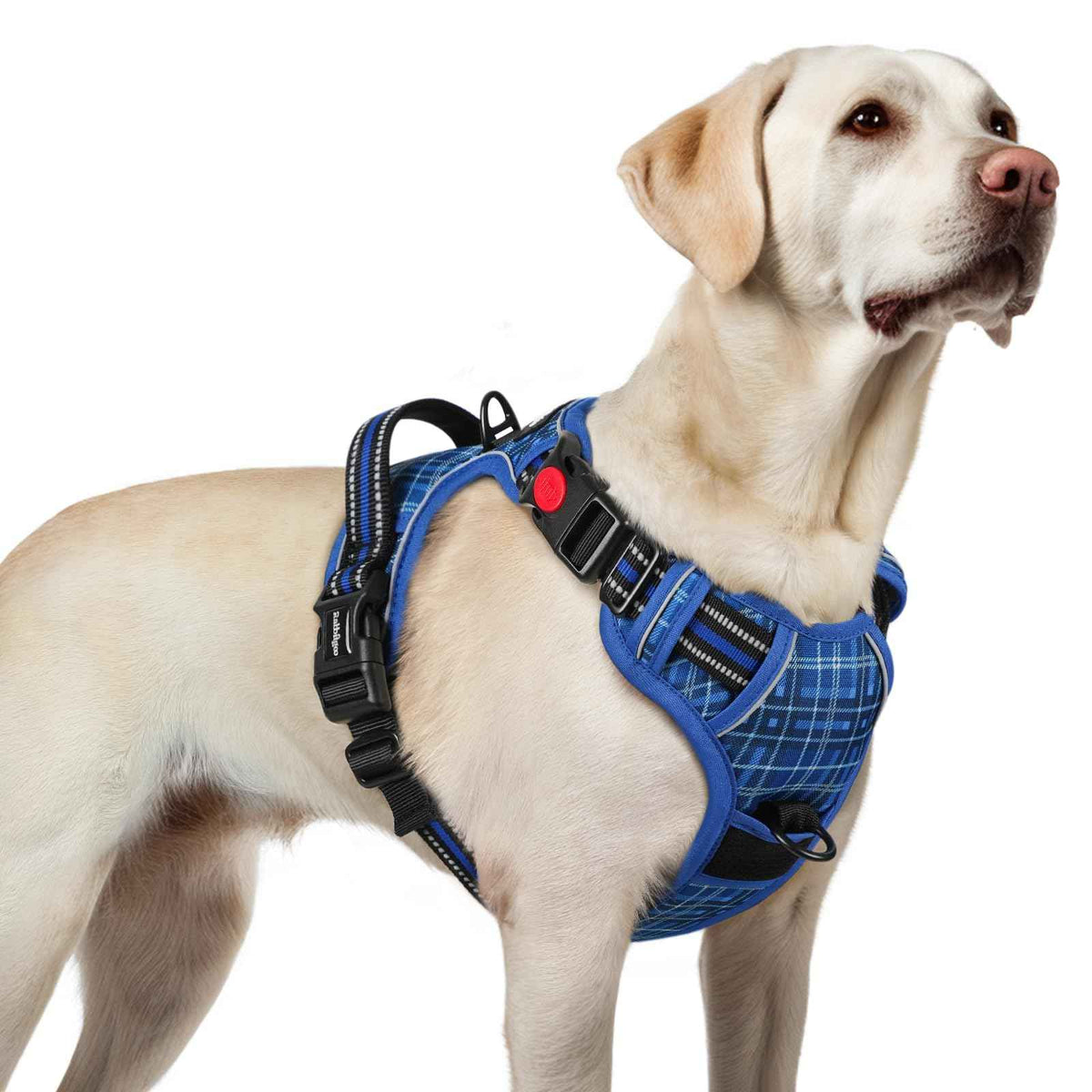 Dog Harness for Large (Blue Plaid / Large)
