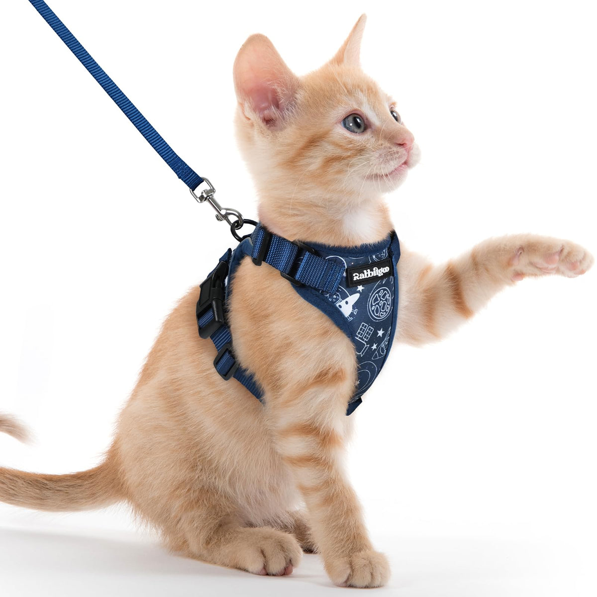 Cat Harness and Leash Set (Xxs / Cosmic Ace)