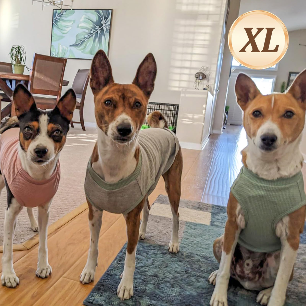 2Pack Waffle Dog Shirt for Small Medium Dogs Striped Dog Sweater (X-Large (19-27lbs) / 2Pack(Purple+Grey))