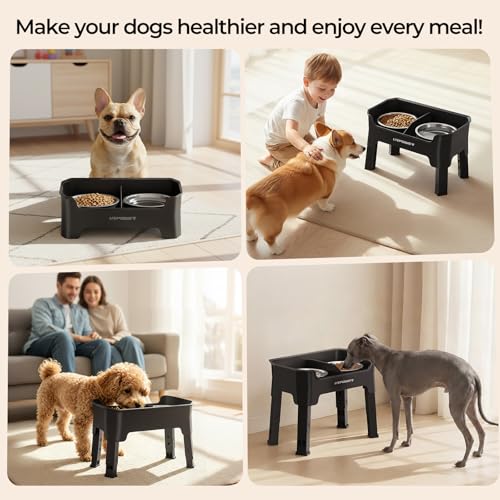 Mess Proof Elevated Dog Bowls (Matte Black / Small)