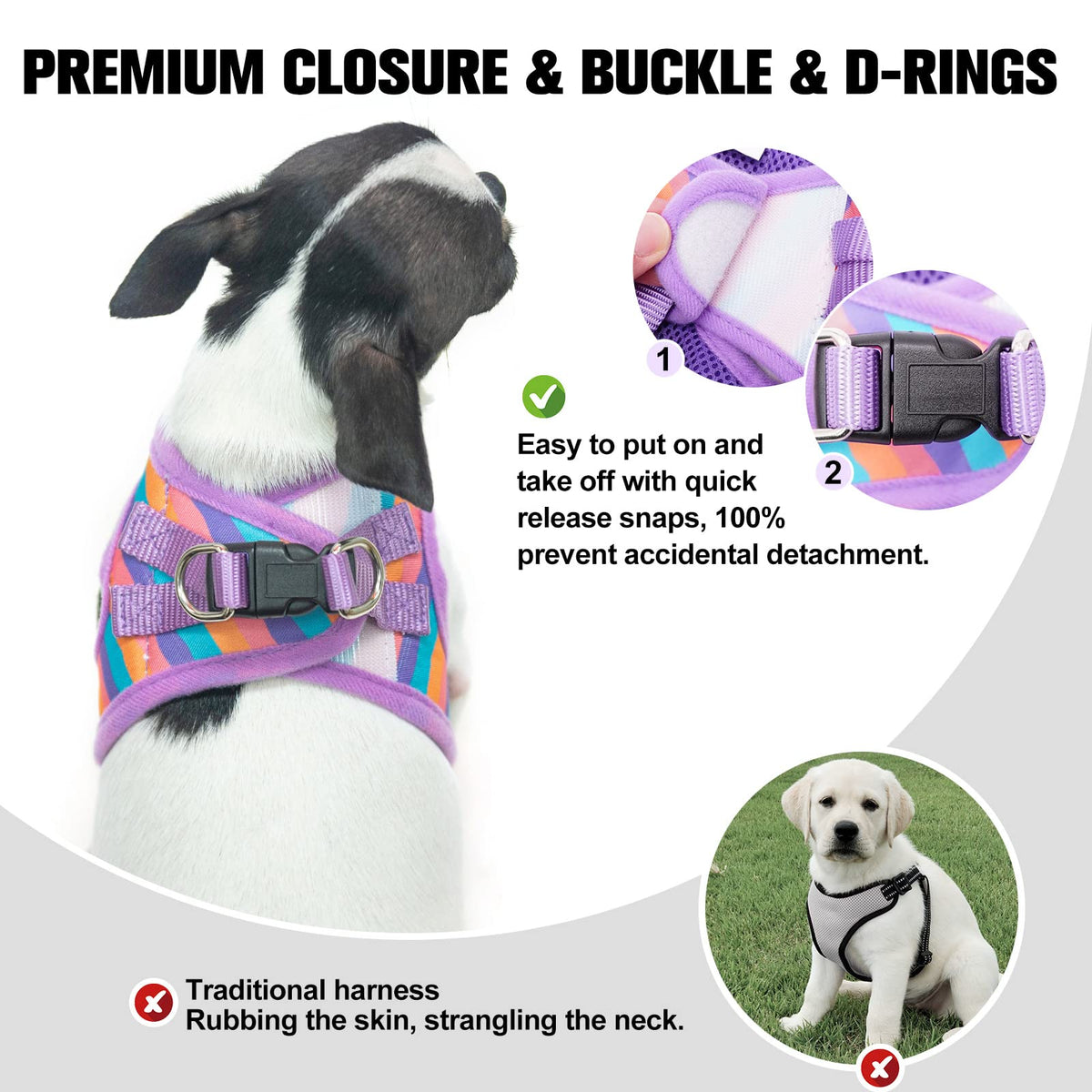 Small Dog Harness and Leash Set (XX-Small(Chest Girth 11.5"-13") / Purple_Stripe)
