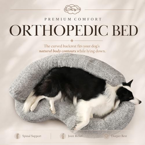 Circle Dog Bed for Small Dogs (Small (35 x 24 x 8 Inch))