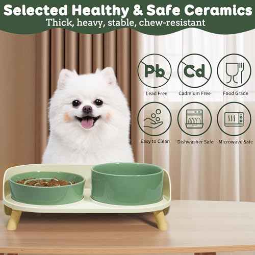 Elevated Slow Feeder Dog Bowls with Splash Proof Stand (Medium / Green)
