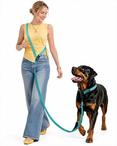 Hands Free Dog Leash (5.9-8.2 FT Teal)