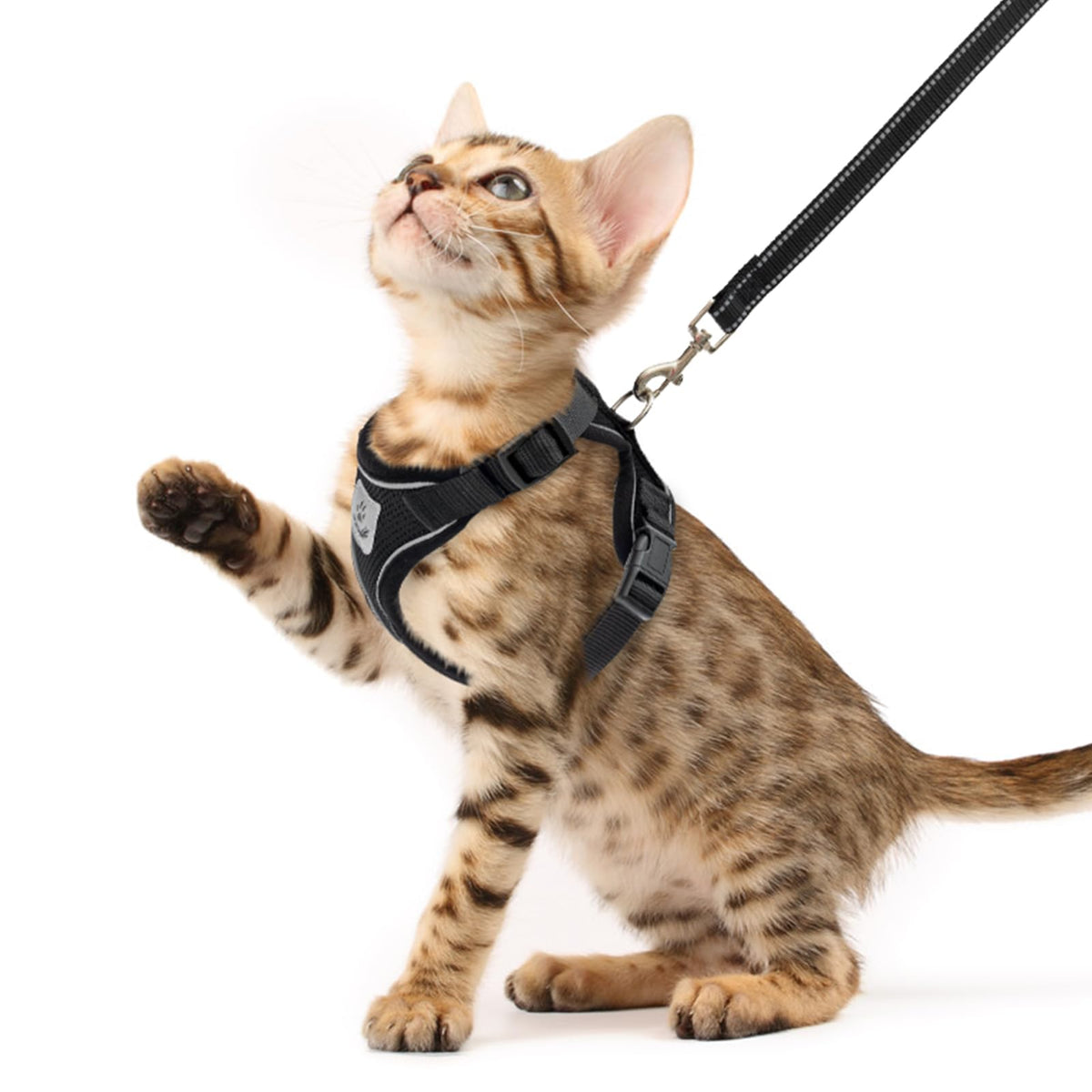 Cat Harness and Leash Set Escape Proof Reflective Cat Walking Harness Adjustable Soft Breathable Mesh Vest for Small Pets (XS (NECK 8.5", CHEST 11"-14") / Black)