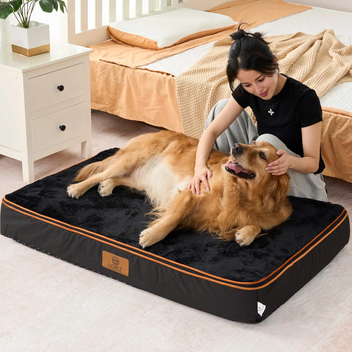Orthopedic Memory Foam XXL Dog Bed (48.0"L x 30.0"W x 6.0"Th / Space Black)