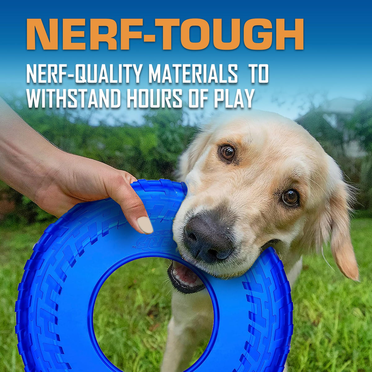 Tire Flyer Dog Toy Gift Set (Multicolor / 10 Inch (Pack of 3))