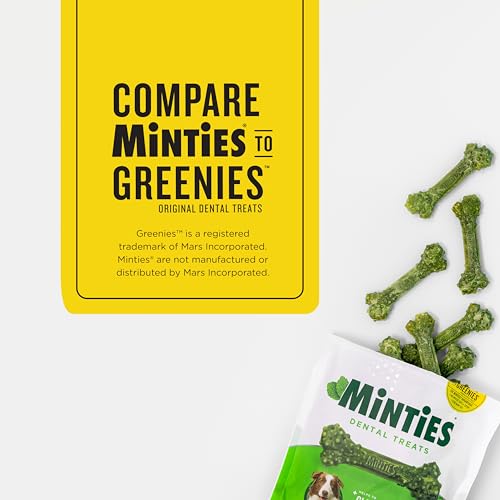 Mint Dental Chews for Dogs (Large Dogs - 48oz)