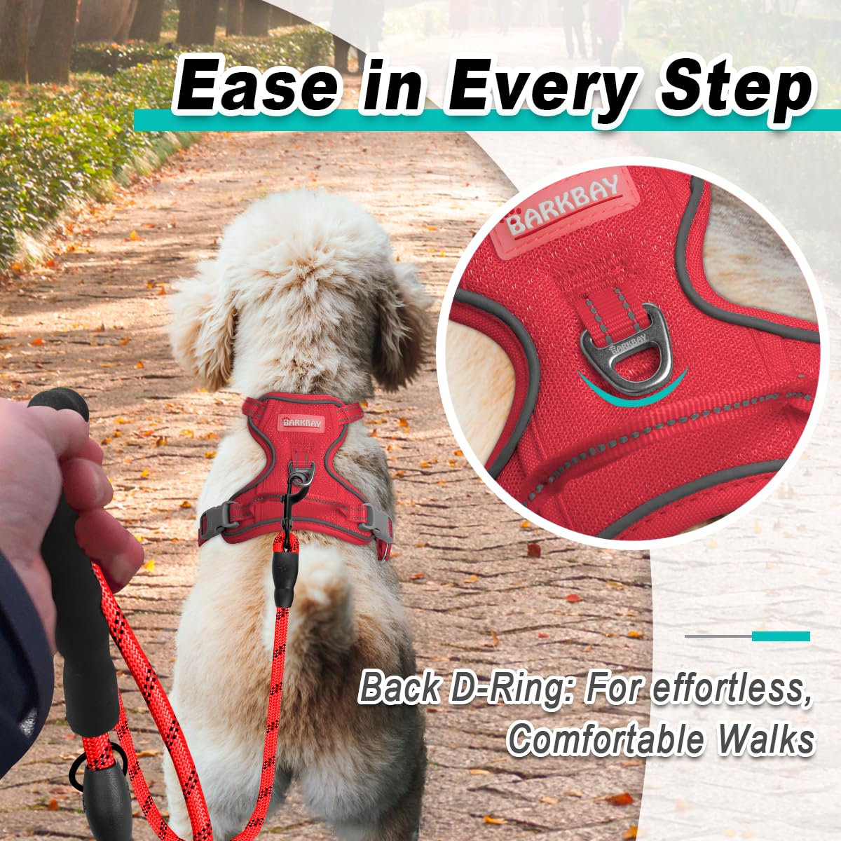 Dog Harness for Small Sized Dog No Pull Mesh 2 Clips Dog Vest (Red-Mesh / Small)