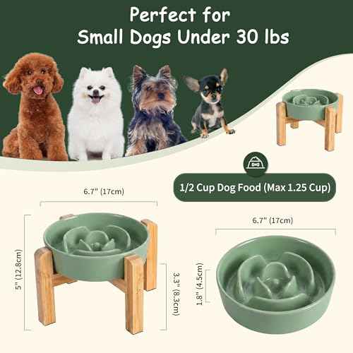 Elevated Slow Feeder Dog Bowl (Green / 1.5 Cups)