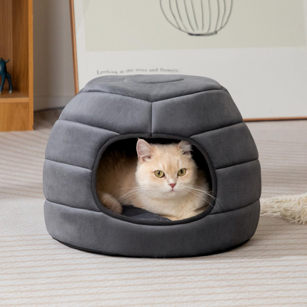 Cat Bed Cave for Indoor Cats for Pets up to 15 lbs (Dark Gray Igloo)