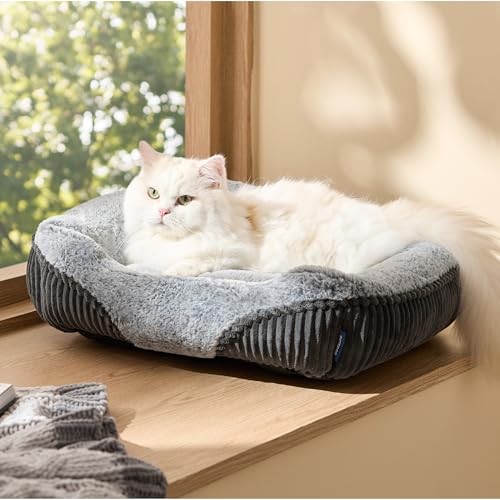 Washable Dog Bed Small Dog＆Cat Rectangle Kitten Puppy Bed (Grey / 20"L x 19"W x 6"Th)