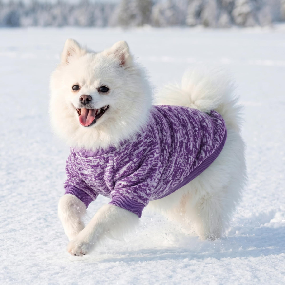 3 Pack Dog Sweaters for Small Dogs Girl Boy Winter Fleece Clothes Warm Soft Dog Sweatshirt Outfit for Dogs Cats Pet Apparel (Purple+ Wine Red+Dark Blue / M (Back: 13.7", Chest: 17.7", 10-14 lbs))