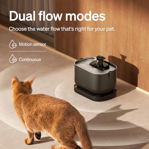 Cat Water Fountain (Black / Cordless fountain)