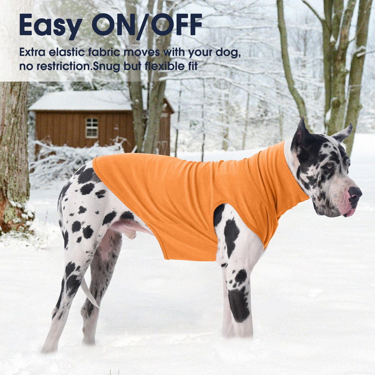 XXL Dog Sweater (XX-Large / Orange)