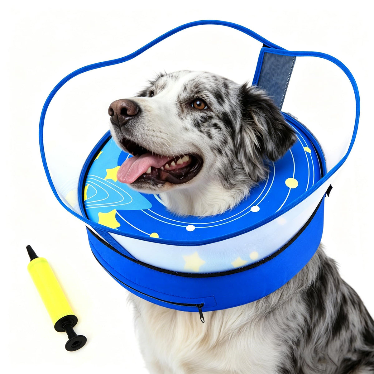 Inflatable Dog Cone Collar with Removable Clear Protective Shield (RoyalBlue / L (Neck 12.5"-15"))