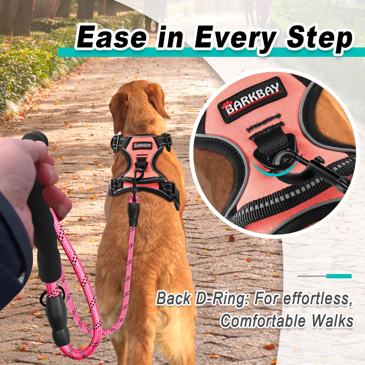 Dog Harness for Small Sized Dog No Pull 2 Leash Clips Dog Vest (Light Pink / Small)