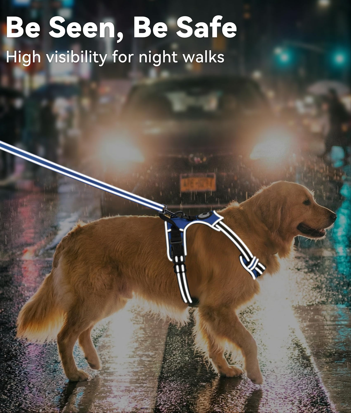 No Pull Dog Harness for Small Dogs (Small / Navy Blue)