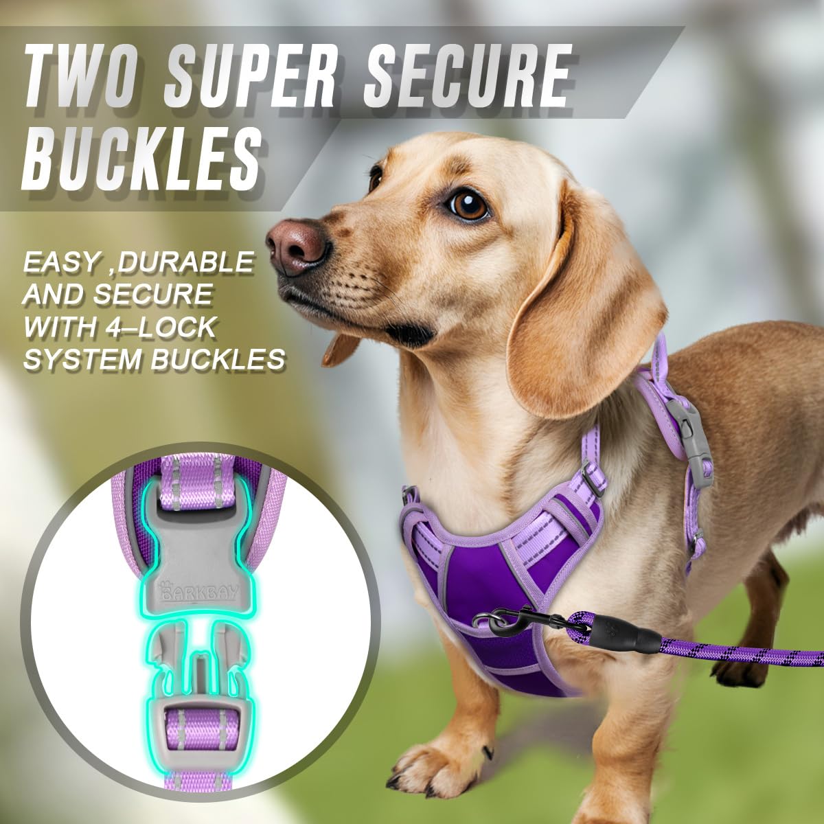 Dog Harness No Pull for Small Sized Dog Front Back Clips (X-Small(Chest:15.5-19.5”) / Violet Purple & Purple)