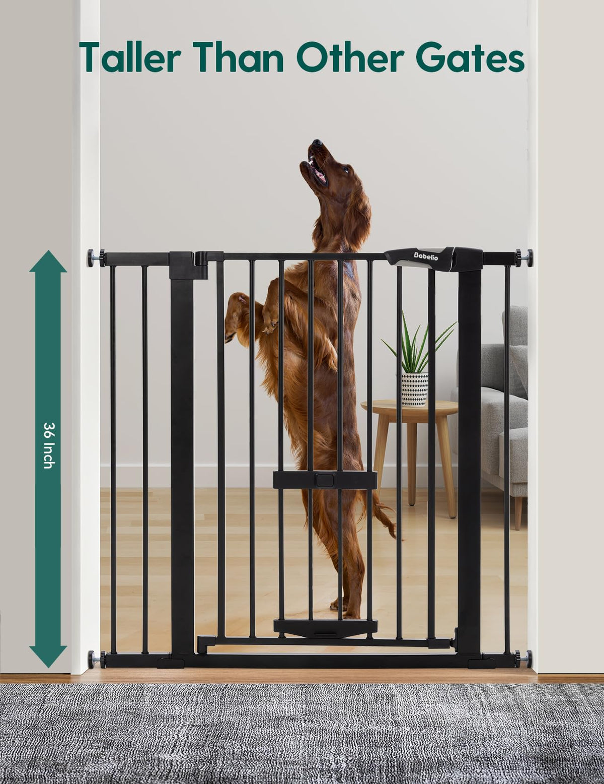 36" Tall Pet Gate with Cat Door (Black / 29-40" Wide, 36" Tall)