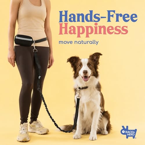 Dog Running Leash Hands Free (Onyx)