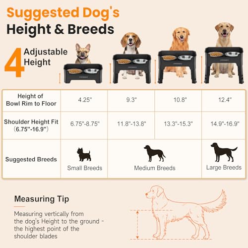 Mess Proof Elevated Dog Bowls (Black / Medium)