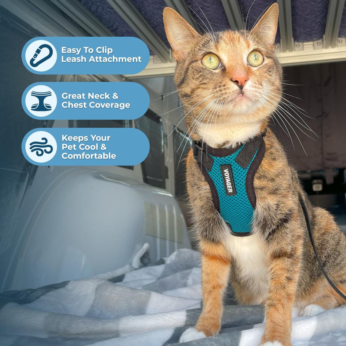 Voyager Step in Lock Cat Harness & Leash Set (Turquoise/Black Trim / XXXS (Chest: 10.5 - 13"))