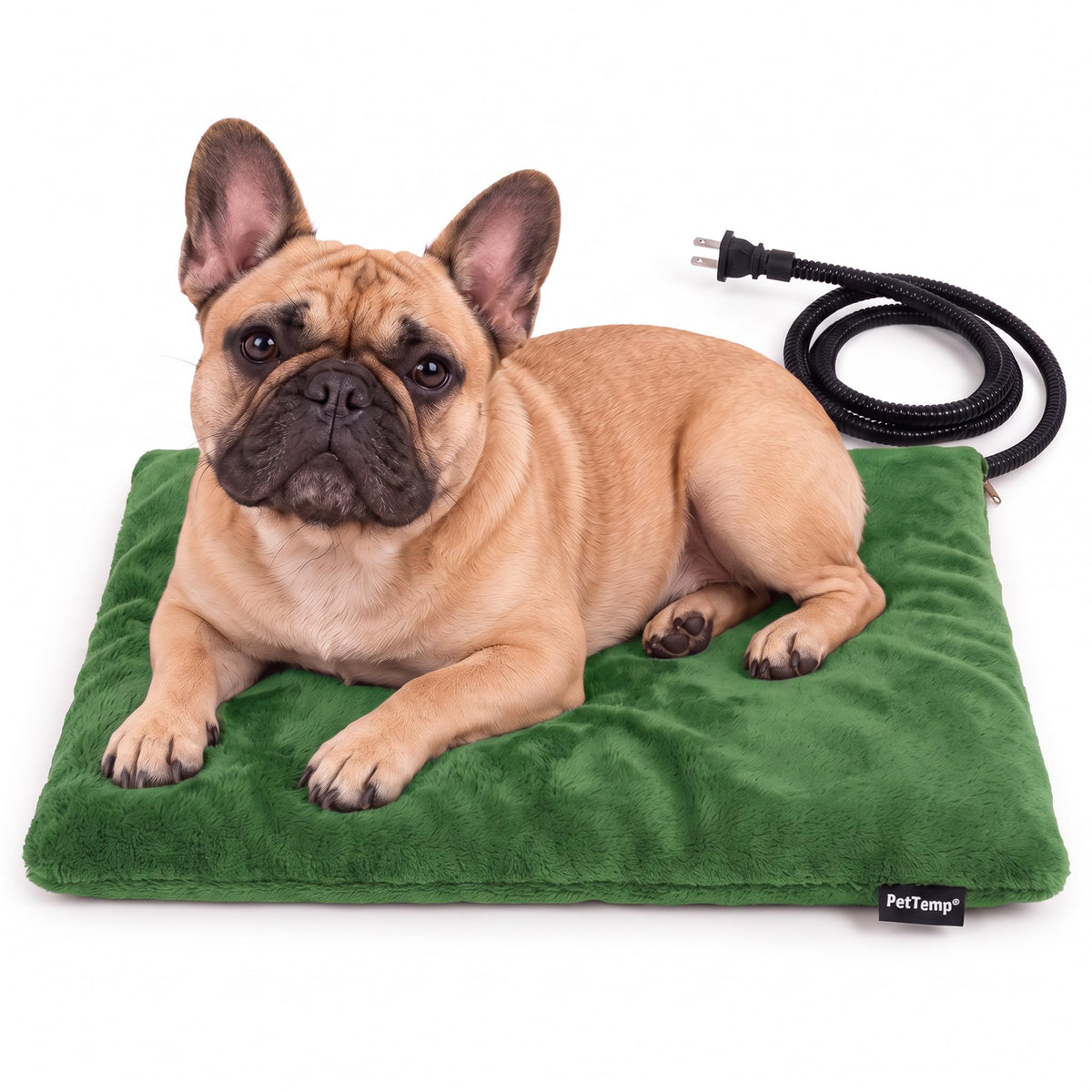 Dog Heating Pad (Grass Green / Medium: 20" x 16" x 1.6")