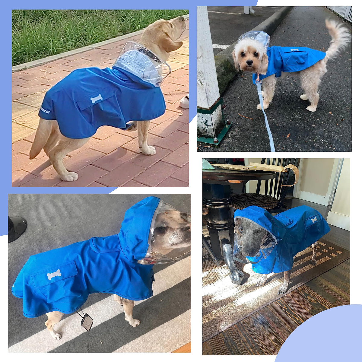 Waterproof Dog Raincoat (Blue / Large)