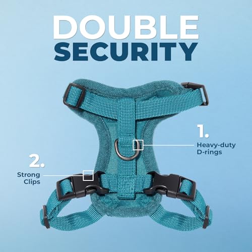 Voyager Step in Lock Cat Harness & Leash Set (Turquoise / XS (Chest: 13 - 16"))