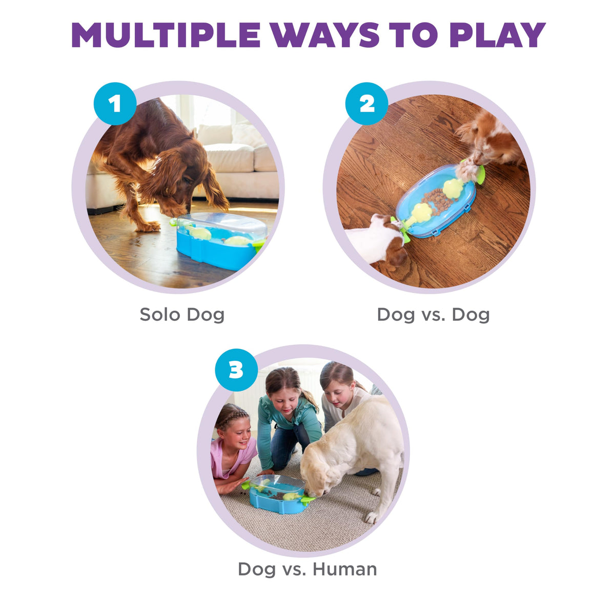 Nina Ottosson Paw N' Play Dog Toy Treat Puzzle