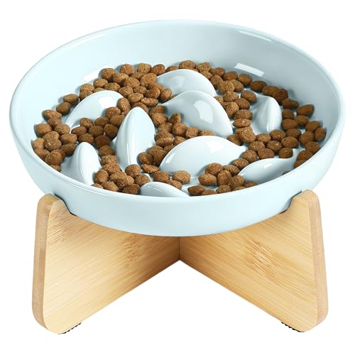 Slow Feeder Cat Bowl Elevated Ceramic with Bamboo Stand (Green Fish)