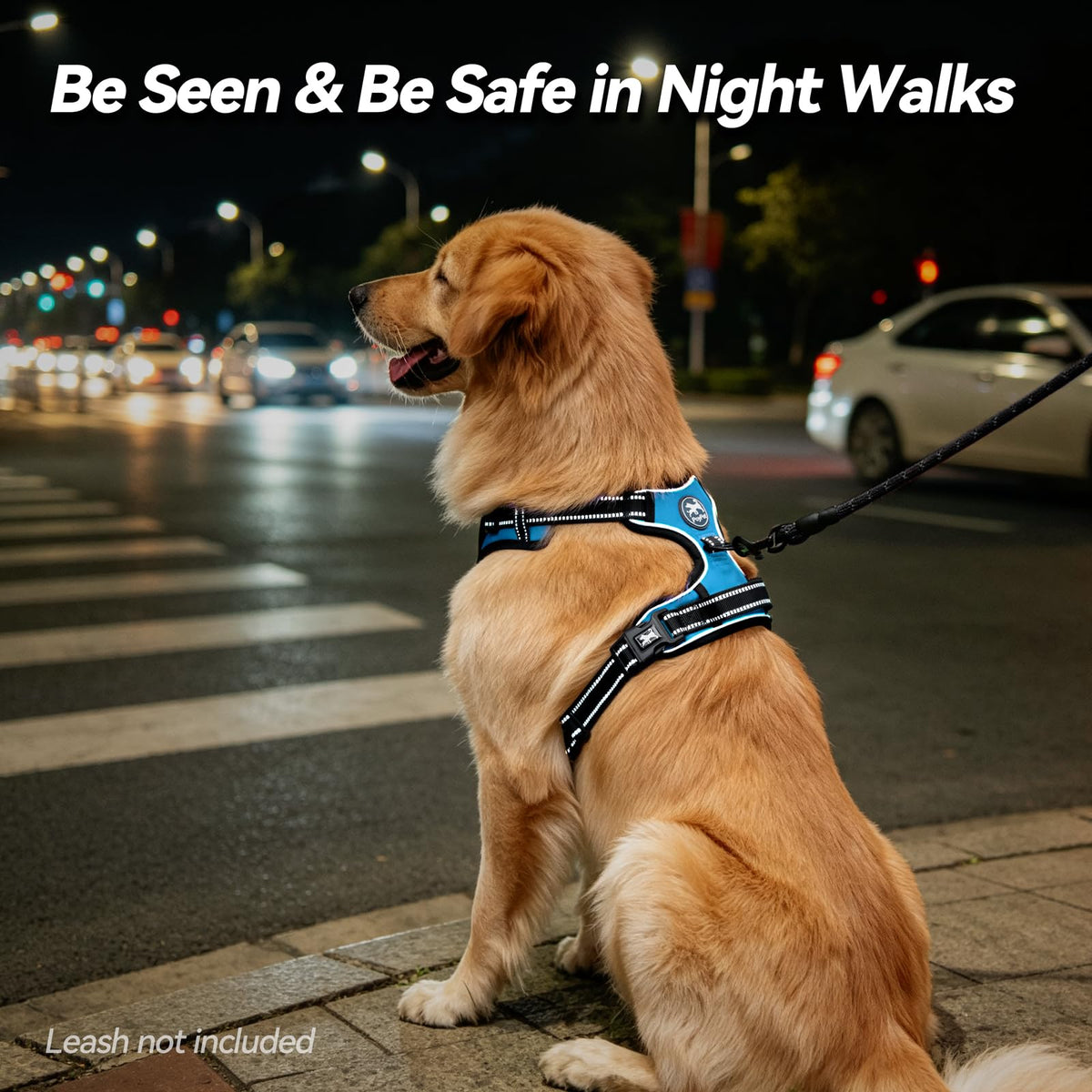 No Pull Dog Harness Medium with Front Clip & Neck Release Buckle (Medium / Blue)
