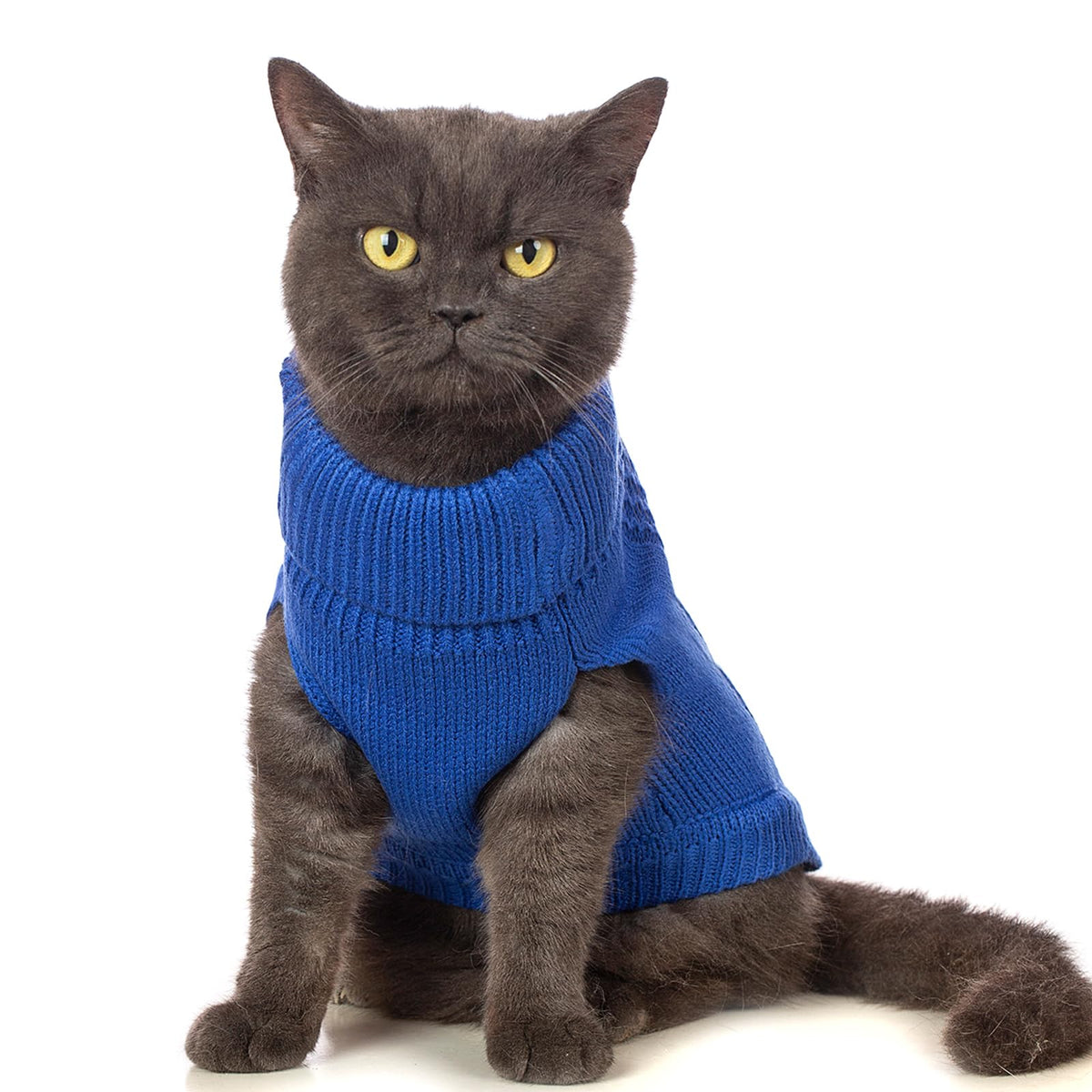 Cat Sweater Stretchy (Dark Blue / Small)