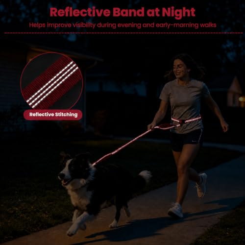 Hands Free Double Dog Leash