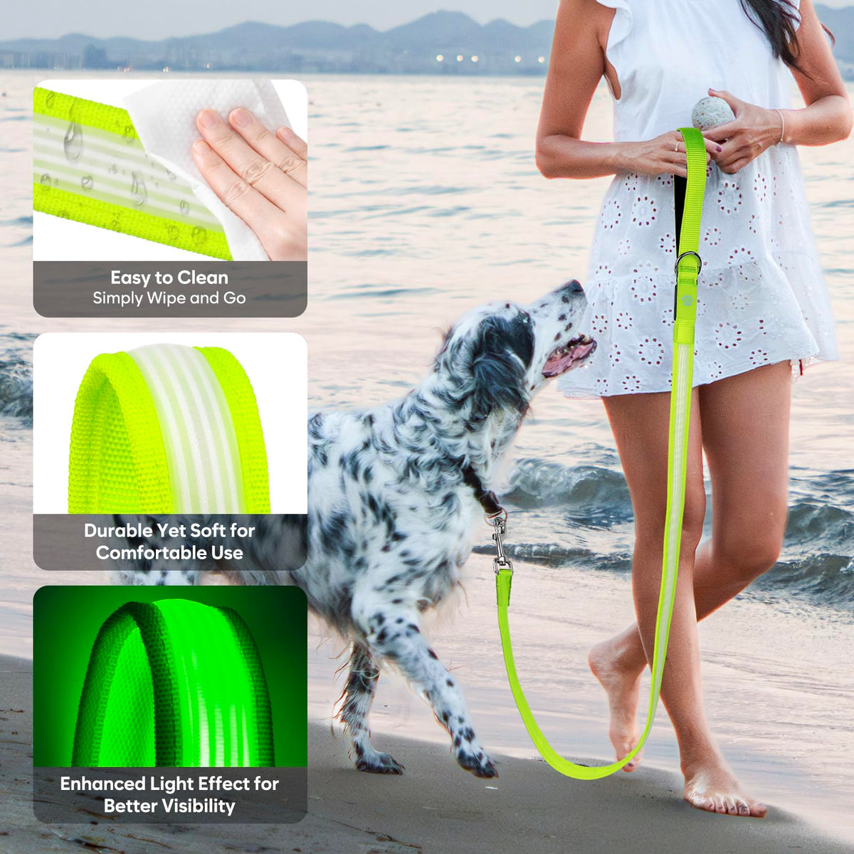 4 Ft Multi Color Light up Dog Leash (Multi-Color / 4 FT (Green))