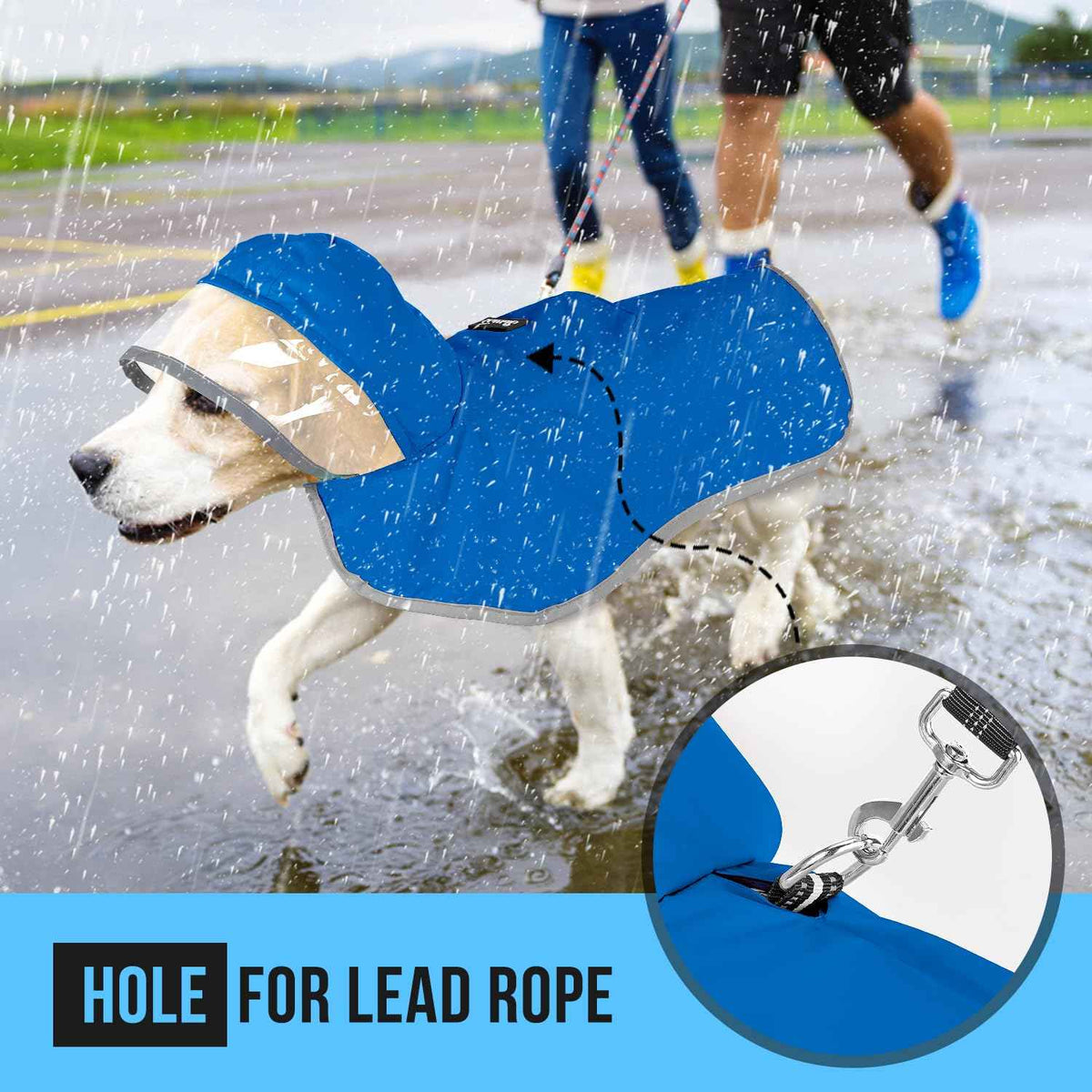 Dog Raincoat Waterproof Jacket with Clear Hood & Leash Hole (Blue / 3X-Large)