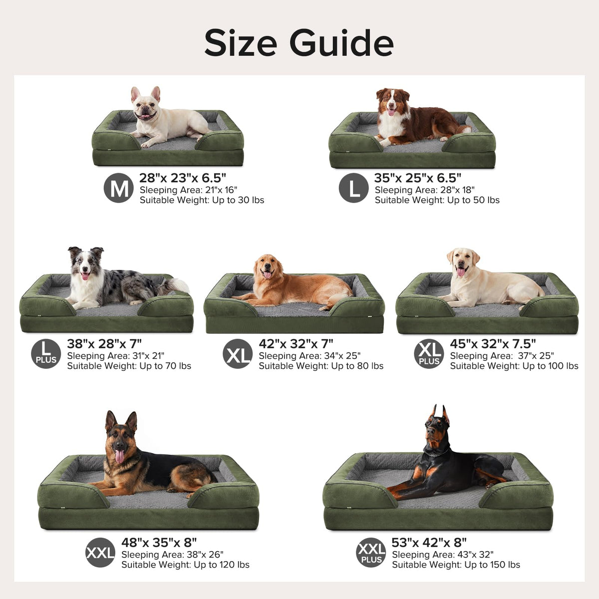 Jumbo Orthopedic Dog Bed for Extra Large Dogs (Green / XL-PLUS (45"x 32"x 7.5"))
